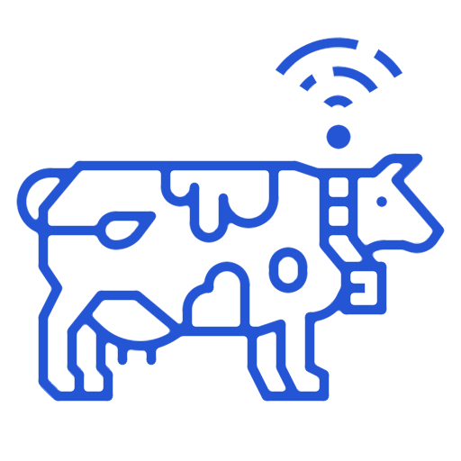cow cow